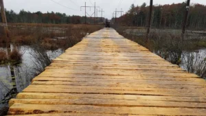 Photo of environmental matting over water
