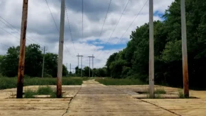 Photo showing environmental matting