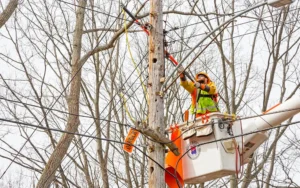 Man working on powerline