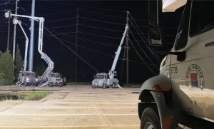 Motts Farm Gallery 1