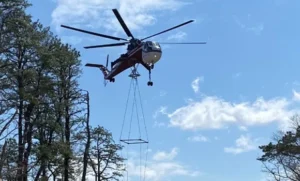 Motts Farm Gallery 2