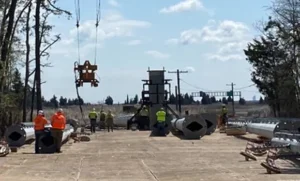 Motts Farm Gallery 3