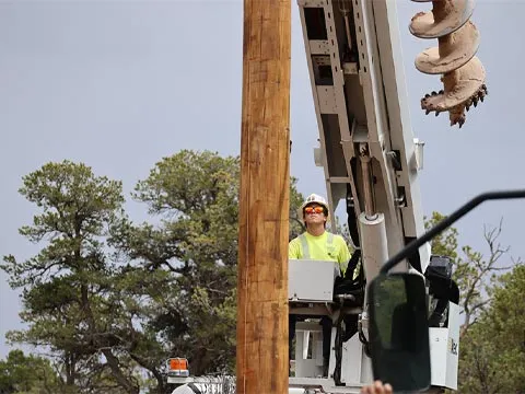 Safety Protocols Graphic