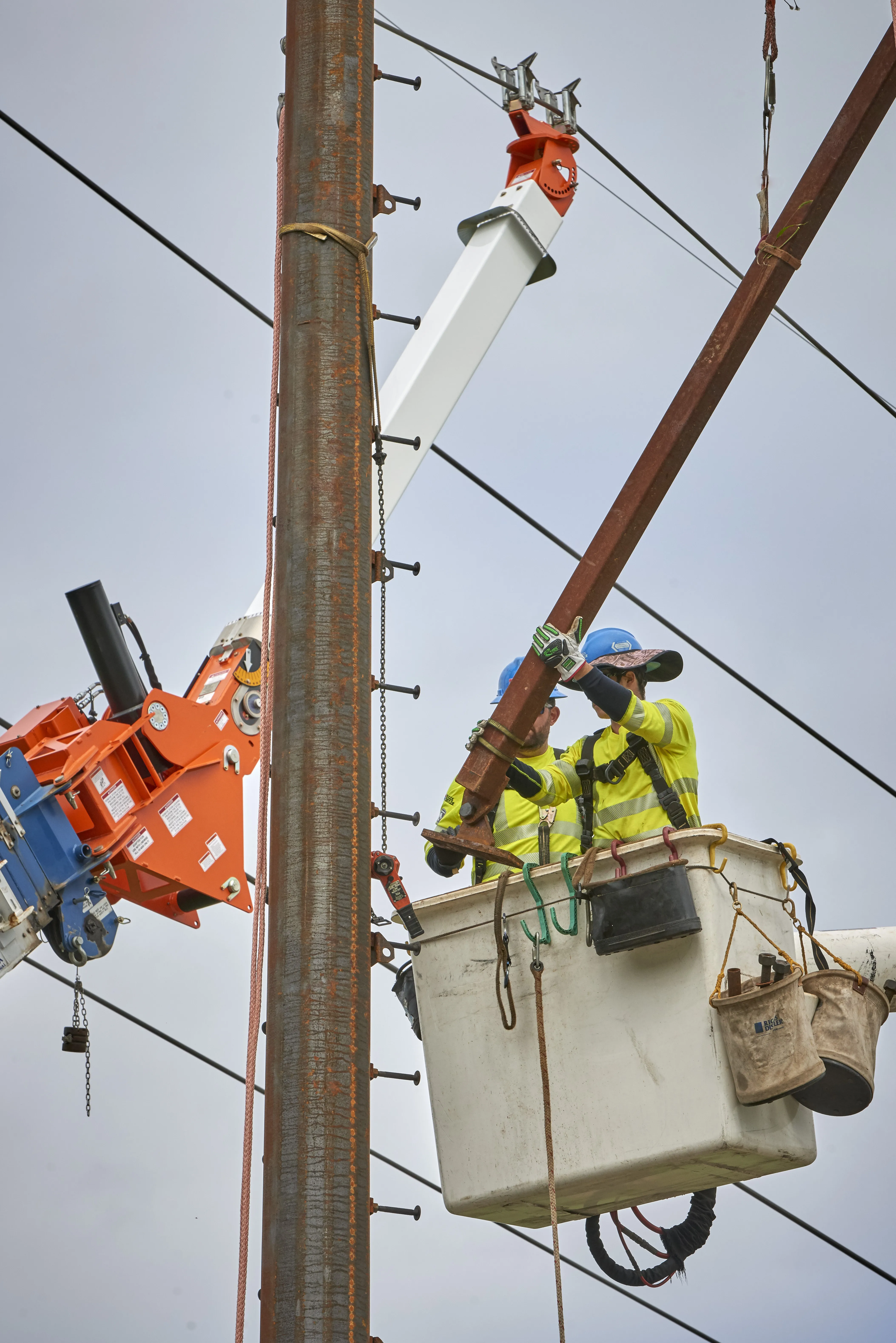 Riggs Distler 10 16 23 186