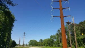 Pineygrove Transmission